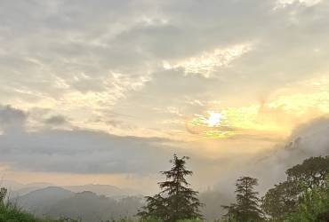 Jibhi Shangarh Kasol Tour from Delhi