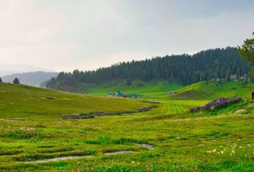 Jibhi Shangarh Tour Package from Delhi